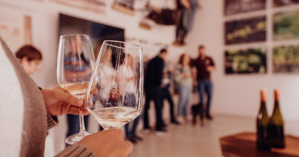 Silvaner della Franconia: il vitigno simbolo - Image 1